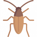 cockroach 1